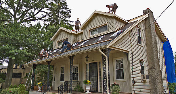 Best Local Roofing Companies  in Fritz Creek, AK